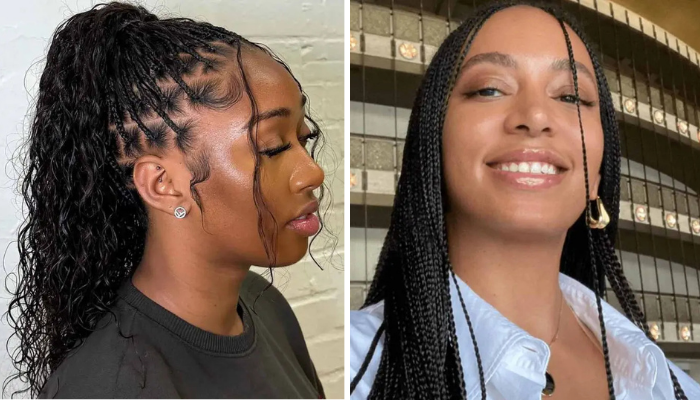 Top 15 Micro Braid Hairstyles That Will Transform Your Look Instantly